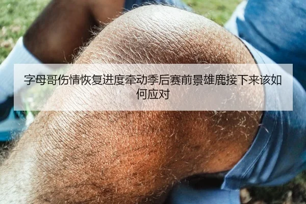 字母哥伤情恢复进度牵动季后赛前景雄鹿接下来该如何应对