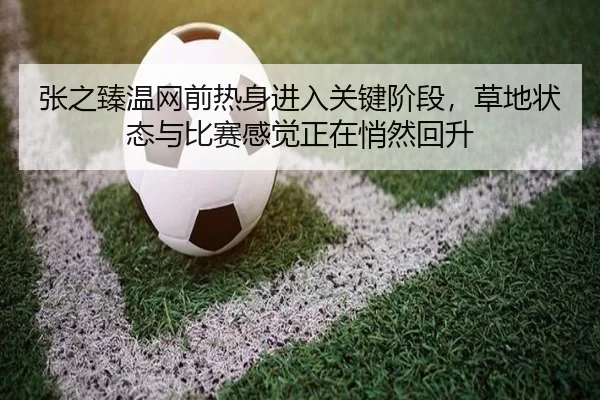 img_1780822825669_8_2_157.jpg